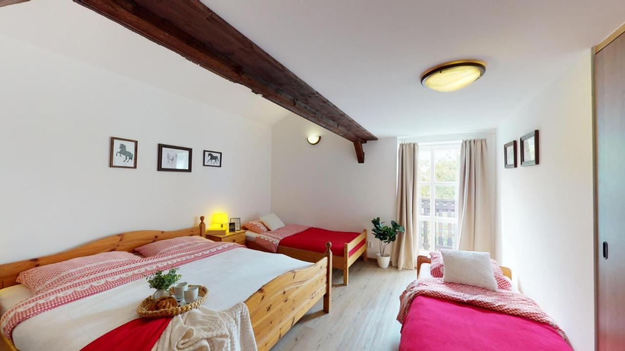 Pension U Sebastiana Hodousice Exterior photo